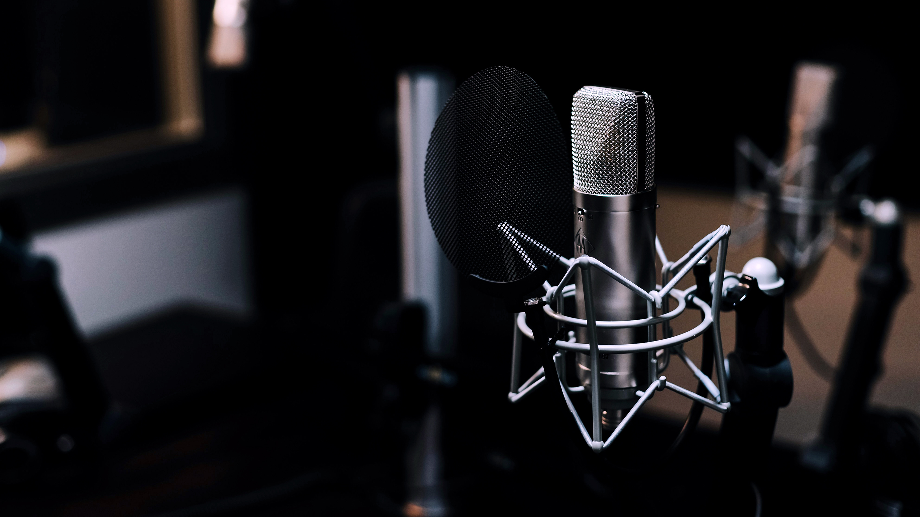 a microphone sits in a recording booth